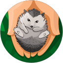 Kelsey Wilson Avatar